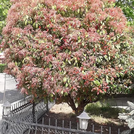 Holiday Ξενοδοχείο