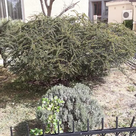 Ξενοδοχείο Holiday Eforie Nord