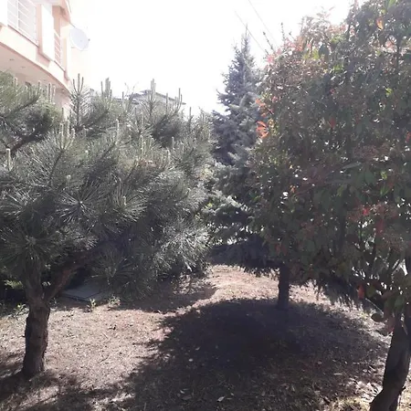 Ξενοδοχείο Holiday Eforie Nord