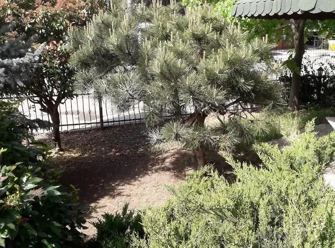 ホテル Holiday エフォリエ・ノルド