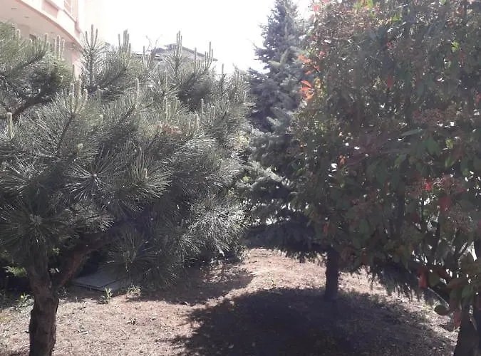 ホテル Holiday エフォリエ・ノルド