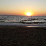 Holiday