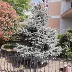 Ξενοδοχείο Holiday