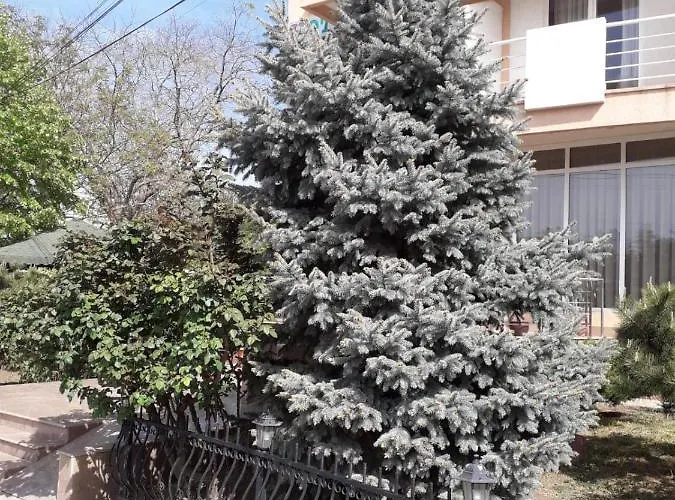 Hotel Holiday Eforie Nord